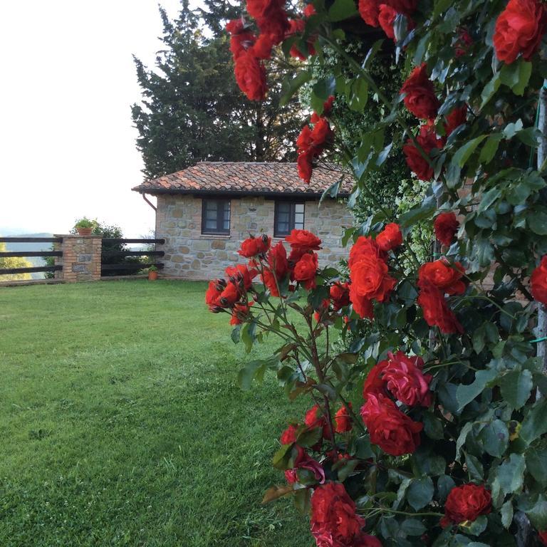 Agriturismo La Bicocca - Apt. "Il Leccio" Castel Rigone Quarto foto